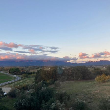 Apartamento Con Vistas ペレラダ エクステリア 写真